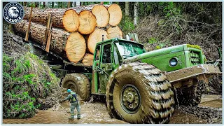 100 Incredible Fastest Big Chainsaw Machines And Powerful Tree Transporters