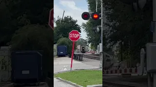 Idiot almost gets ran over by Amtrak train backing into Tampa Union Station.