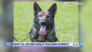 Kent Co. K-9 dies after medical emergency while tracking suspect