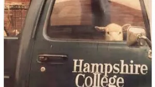 11 -Negativland - U2 - Live Hampshire College 1989