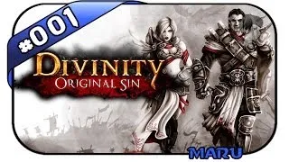 Divinity: Original Sin #001 - Ein Paar Helden - Let's Play Divinity: Original Sin