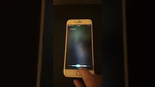 Алиса разговаривает с SIRI просто жесть 😎😎😎