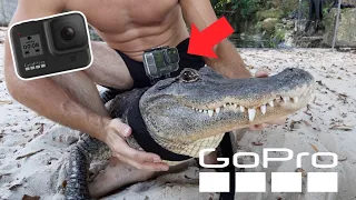 We put a GOPRO ON AN ALLIGATOR! (Probably the coolest video yet)