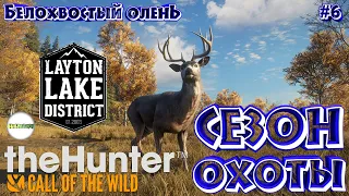 THEHUNTER: CALL OF THE WILD™- СЕЗОН ОХОТЫ. ОЗЁРНЫЙ КРАЙ ЛЕЙТОН (LAYTON LAKE). БЕЛОХВОСТЫЙ ОЛЕНЬ. #6