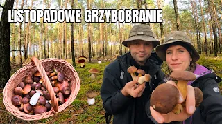 Listopadowe grzybobranie, czas na podgrzybki, leśne przygody