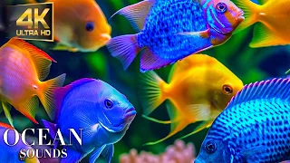 Under The Sea 4K -Healing music to reduce stress, fatigue, depression, negativity, detoxify negative