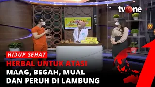 Herbal untuk Atasi Maag, Begah, Mual, Perih di Lambung | Hidup Sehat tvOne