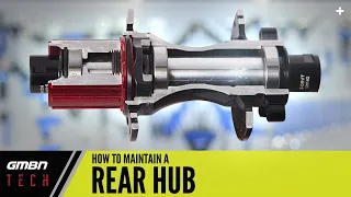 How To Look After Your MTB Hubs | Rear Hub Maintenance Tips