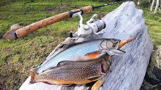 EXPLORING Lakes and Ponds in the MOUNTAINS for Wild TROUT!! (Catch, Clean, Cook)