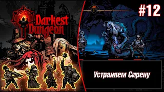 Устраняем Сирену - Darkest Dungeon #12