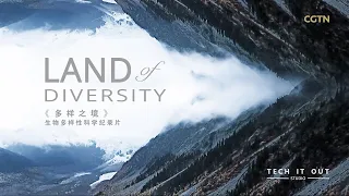 Land of Diversity_多样之境