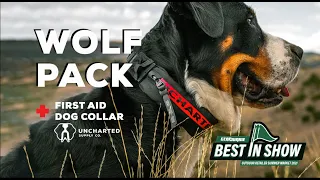 Introducing The Wolf Pack: The First Aid Collar for Dogs