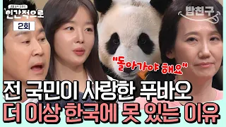 [#밥친구] 푸바오가 다시 돌아올 가능성(?) 중국이 판다로 외교 하는 충격적인 이유| #인간적으로 2회