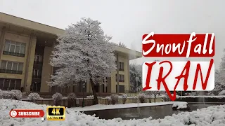 Snowfall in Tehran, IRAN |  | Walking in Tehran, Niavaran in the Winter Snow, 4k