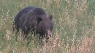 Ни Пуха,Ни Пера! (часть 6)