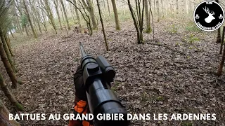 Battue au grands gibiers dans les Ardennes saison 2023/2024 ! (Partie 1)