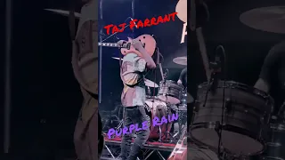 Taj Farrant Purple Rain Guitar Solo #guitar #riff #livemusic #blues #princesong #music