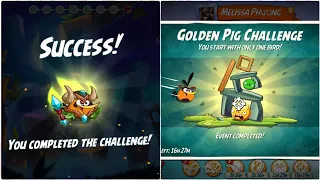 Angry Birds 2: Golden Pig Challenge (Bubbles)