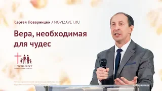 Сергей Поварницин: Вера, необходимая для чудес (25 ноября 2018)