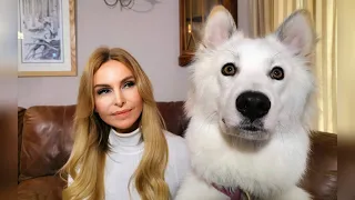 THE YAKUTIAN LAIKA DOG - EARTH'S COLDEST SUPERMODEL - Якутская лайка