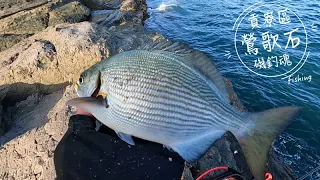 【磯釣】東北角釣遊｜秋磯第二彈｜鶯歌石｜2022/10/01