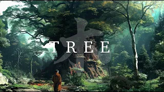 木 Tree Vibes - Relaxing Lofi - Smooth hiphop beat with nature sound on the background.