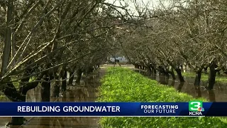 'A game-changer': San Joaquin Valley farmers help replenish groundwater by flooding their fields