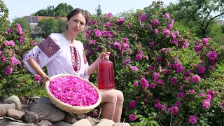 Woman lives in the village.Harvesting and cooking 3 types of colorful flowers. Fairy food collection