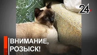 Дерзкое похищение в Лениногорске!