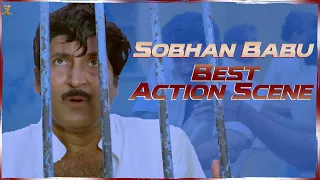 Sobhan Babu Best Action Scene || Sarpayagam Telugu Movie  || Roja || Suresh Productions