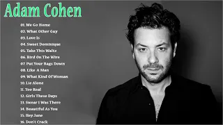 Adam Cohen Greatest Hits Full Album 2021 || The Best Songs Of Adam Cohen