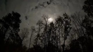 Backyard TimeLapse 4