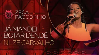 Já Mandei Botar Dendê  - Nilze Carvalho (Sambabook Zeca Pagodinho)