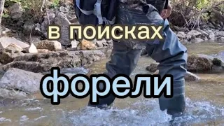 рыбалка в горной реке