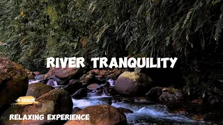 River Tranquility: Nature's Cure for Insomnia