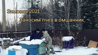 Заносим пчел в омшаник. Зимовка 2021- 2022.