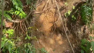 Layan dua sahabat mendaki Bukit Changkat Asa Tanjung Malim #Red Forest