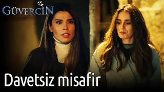 Güvercin 15. Bölüm - Davetsiz Misafir