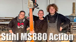 Stärkste MOTORSÄGE der Welt, STIHL MS880! Locke lässt mich sägen - M4cM4nus unterwegs