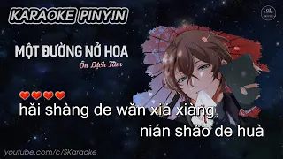 Một Đường Nở Hoa【KARAOKE Pinyin】Nhất Lộ Sinh Hoa - Ôn Dịch Tâm | Hot Tiktok Song | S. Kara ♪