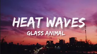 Glass animal - Heat waves ( lyrics )