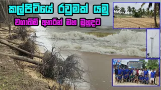 කල්පිටියේ එළවළු වගා අතර සිදු කළ සංචාරය / kalpitiya / travel kalpitiya