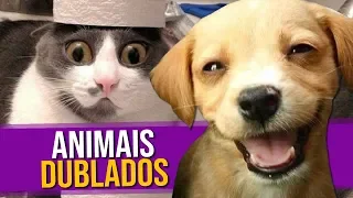 Animais Dublados Episódio 2