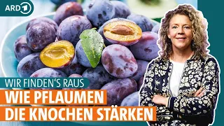 Pflaumen und Zwetschgen: Hausmittel bei Osteoporose, Rheuma und Verstopfung | ARD Gesund