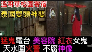 👹香港猛鬼電台 (九) 純人聲 | 美容院•女鬼 | 天水圍•火燒神像不腐身 | 泰國•雙頭神嬰  | 溫哥華•校園筆仙怪事 #灵异故事 #精選鬼故 #真人真事 #ghost #怪談 #鬼故