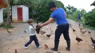 Jugando a topar gallos en Viñales. Cuba al 100 %