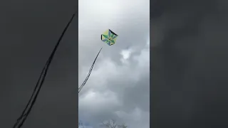 Kite 🪁 flying in Jamaica 🇯🇲 (Easter Sunday). Kite on sale, Inbox for price