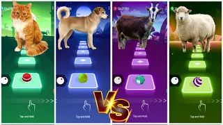 Funny Cats🆚Funny Dog🆚Funny Goat🆚Funny Sheep⚡Who is best?🎶🎮#coffindance  #tileshop