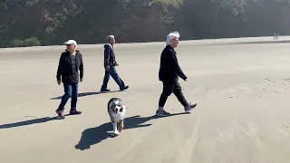 Walking on The Beach at Netarts Bay. May 2024.