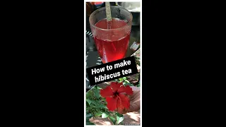 Hibiscus Tea🌺☕🍵